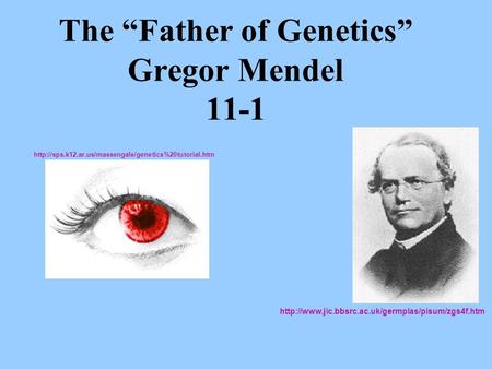The “Father of Genetics” Gregor Mendel 11-1