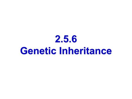 2.5.6 Genetic Inheritance. Lesson Objectives At the end of this lesson you should be able to 1.Give a definition for a gamete 2.Understand gamete formation.