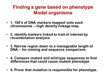 Finding a gene based on phenotype Model organisms 1. 100’s of DNA markers mapped onto each chromosome – high density linkage map. 2. identify markers linked.