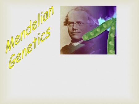 Gregor Mendel : Known as “THE FATHER OF GENETICS”. - laid the foundations for the SCIENCE OF GENETICS through his study of inheritance patterns of traits.