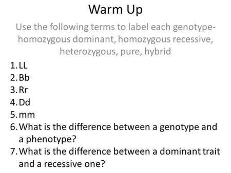 Warm Up Use the following terms to label each genotype- homozygous dominant, homozygous recessive, heterozygous, pure, hybrid 1.LL 2.Bb 3.Rr 4.Dd 5.mm.