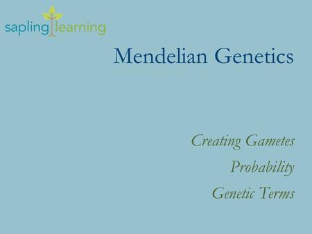 Mendelian Genetics Creating Gametes Probability Genetic Terms.