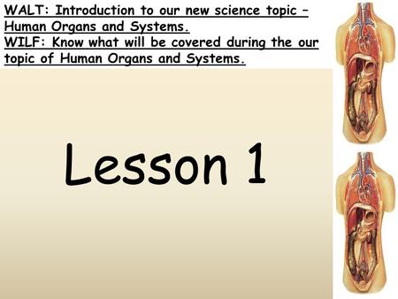 WALT: Introduction to our new science topic – Human Organs and Systems. WILF: Know what will be covered during the our topic of Human Organs and Systems.