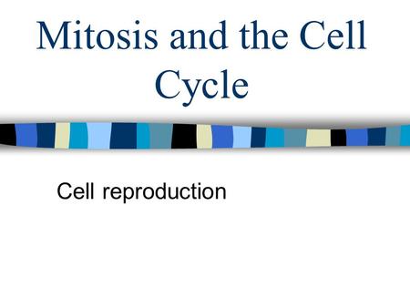 Mitosis and the Cell Cycle Cell reproduction. The Cell Cycle The sequence of growth and division of a cell. 95% of cell cycle in interphase 5% of cell.