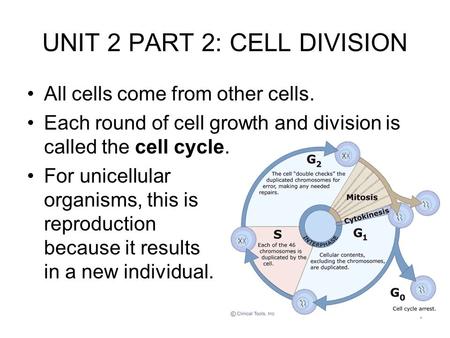1 UNIT 2 PART 2: CELL DIVISION All cells come from other cells. Each round of cell growth and division is called the cell cycle. For unicellular organisms,