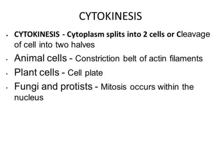 CYTOKINESIS CYTOKINESIS - Cytoplasm splits into 2 cells or C leavage of cell into two halves Animal cells - Constriction belt of actin filaments Plant.