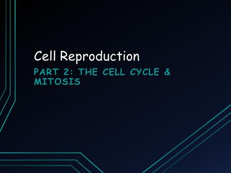 Cell Reproduction PART 2: THE CELL CYCLE & MITOSIS.