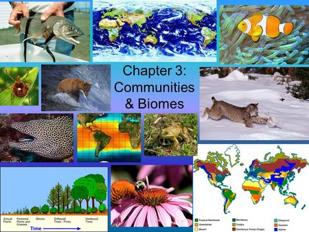Chapter 3: Communities & Biomes