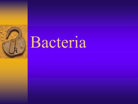 Bacteria. 2 Kingdoms  Archaebacteria  Eubacteria.