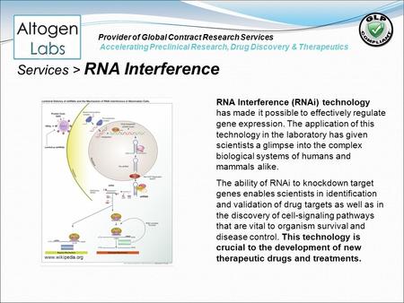 RNA Interference (RNAi) technology has made it possible to effectively regulate gene expression. The application of this technology in the laboratory has.