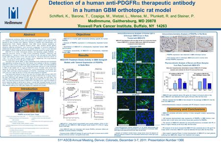 01/22/2010 – 7:45pmeSlide – P6617 – MedImmune 4 x 8 Poster Template Detection of a human anti-PDGFR  therapeutic antibody in a human GBM orthotopic rat.