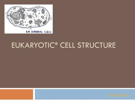 EUKARYOTIC* CELL STRUCTURE Interactive Cell.  We talked about Cell Theory and two types of cells.  What are the 3 key points of the Cell Theory?  Which.