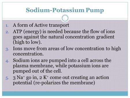 Sodium-Potassium Pump 1. A form of Active transport 2. ATP (energy) is needed because the flow of ions goes against the natural concentration gradient.