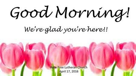 Good Morning! Rose Free Lutheran Church April 17, 2016 We’re glad you’re here!!