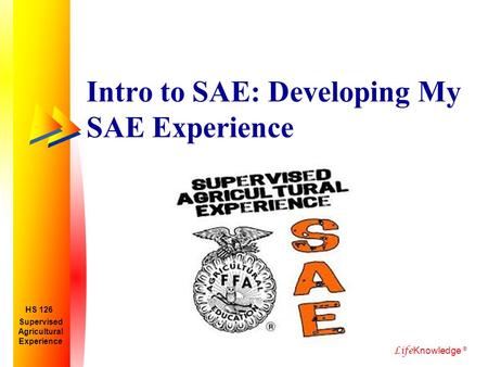 Exploring skills and goals - ppt download