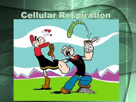 Cellular Respiration. WARNING! Pay attention! There is a quick 6 point quiz at the end!