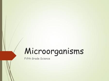 Microorganisms Fifth Grade Science.