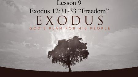 Lesson 9 Exodus 12:31-33 “Freedom”. Exodus 12:31-33 Then he called for Moses and Aaron by night, and said,  Rise, go out from among my people, both you.
