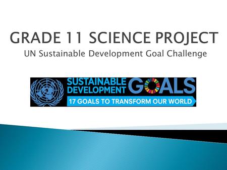 UN Sustainable Development Goal Challenge.  Each of you has been assigned to a group distinguished by letter (A, B, etc).  Lists are available in the.