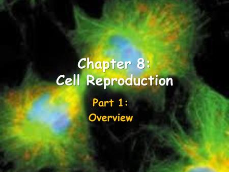 Chapter 8: Cell Reproduction Part 1: Overview. Objectives Be able to explain the difficulties a cell faces as it increases in size Be able to compare.