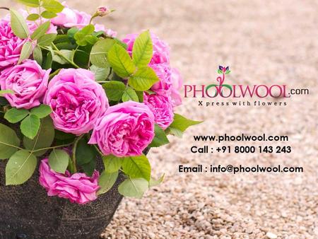 Who we are? Phoolwool.com is an online portal for customers to send personal expressions to their beloved with just a click away. It was established in.