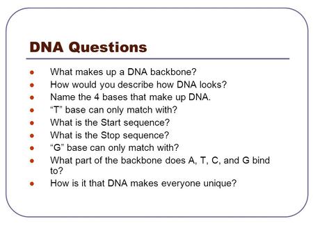 DNA Questions What makes up a DNA backbone? How would you describe how DNA looks? Name the 4 bases that make up DNA. “T” base can only match with? What.