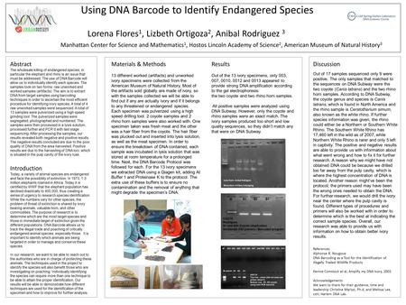 Using DNA Barcode to Identify Endangered Species Manhattan Center for Science and Mathematics 1, Hostos Lincoln Academy of Science 2, American Museum of.