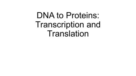 DNA to Proteins: Transcription and Translation. Sickle Cell Anemia Video.