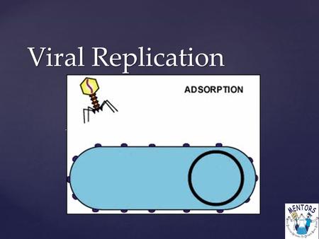 { Viral Replication  Virus: A biological particle composed of nucleic acid and protein  Intracellular Parasites: organism that must “live” inside a.