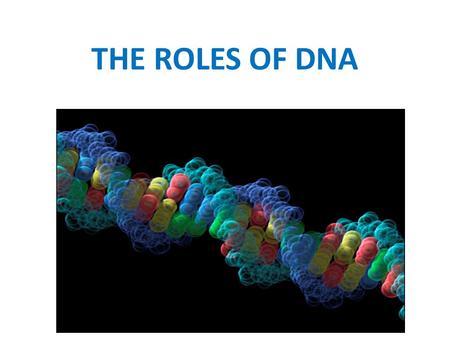 THE ROLES OF DNA.