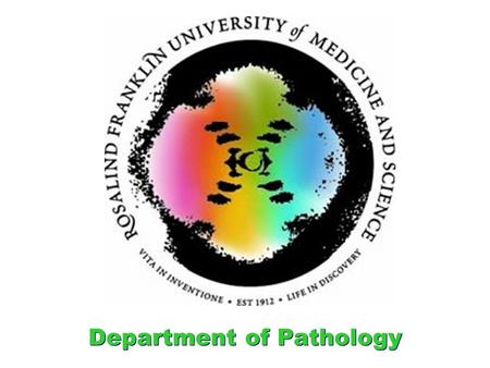 Department of Pathology. Iowa Anemia Cases Case Analyses by Dr. Schneider Tuesday, October 11, 2011 and Thursday October 13, 2011.