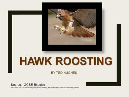 HAWK ROOSTING BY TED HUGHES Source: GCSE Bitesize