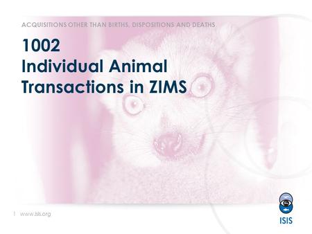 1 www.isis.org 1002 Individual Animal Transactions in ZIMS ACQUISITIONS OTHER THAN BIRTHS, DISPOSITIONS AND DEATHS.