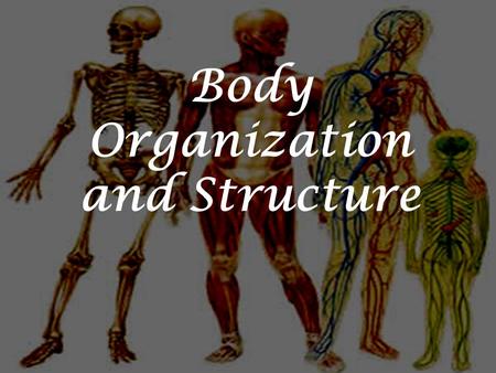 Body Organization and Structure. Believe it or not, you are organized!  The main levels of organization.