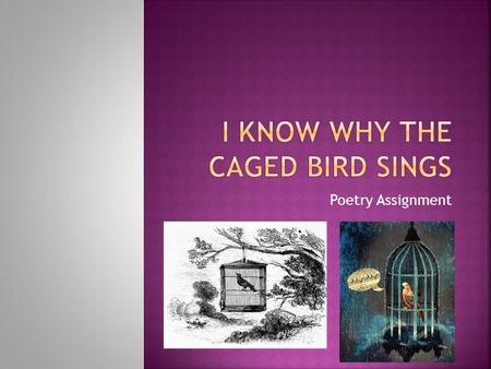 Poetry Assignment.  Please write a lyric poem entitled “I know Why the Caged Bird Sings”  The poem does not have to rhyme – although it can  The poem.