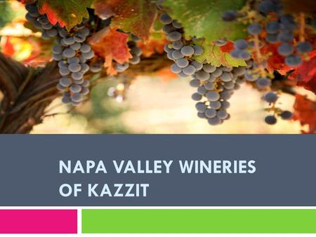 NAPA VALLEY WINERIES OF KAZZIT. Napa Valley in California has become synonymous for its incredible selection of wines that are produced there, but this.
