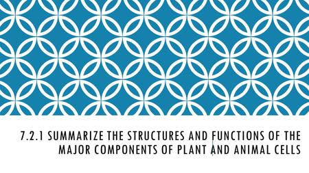 7.2.1 SUMMARIZE THE STRUCTURES AND FUNCTIONS OF THE MAJOR COMPONENTS OF PLANT AND ANIMAL CELLS.