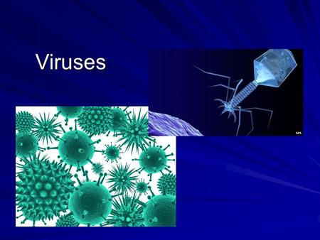 Viruses. Video Viruses Unit 5 - Viruses and Bacteria (Ch. 18) 1.Identify the major components of a Bacterium and Viruses 2.List the two major stages.