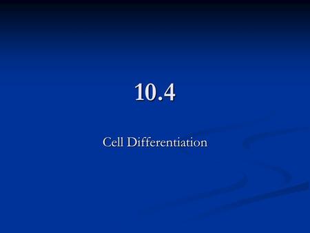 10.4 Cell Differentiation. Differentiation – cells become different; form into many types of cells Differentiation – cells become different; form into.