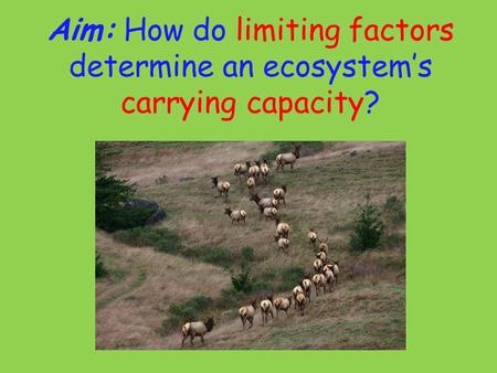 Aim: How do limiting factors determine an ecosystem’s carrying capacity?