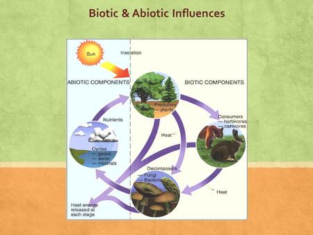 Biotic & Abiotic Influences. Ecosystem: all the living organisms that share a region & their physical & chemical environment.