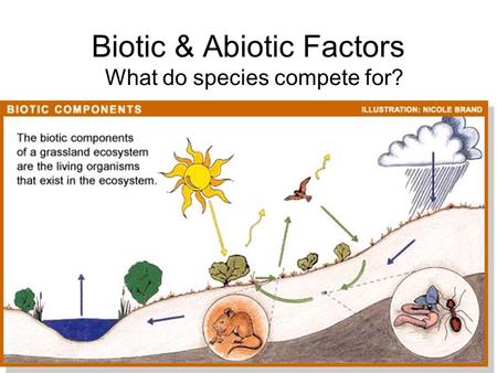 Biotic & Abiotic Factors What do species compete for?