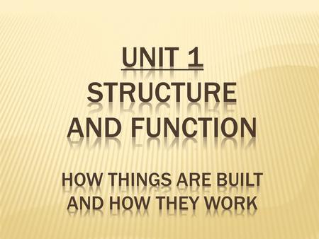 At every level of organization structure is arranged based on function.