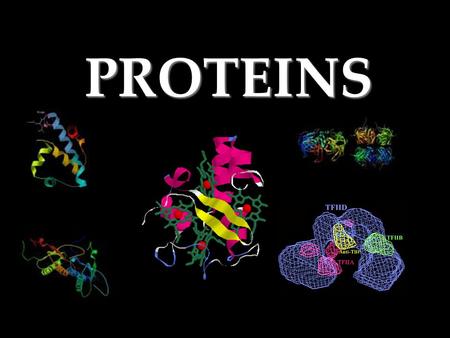 PROTEINS Proteins Composed mainly of –Carbon –Hydrogen –Nitrogen.