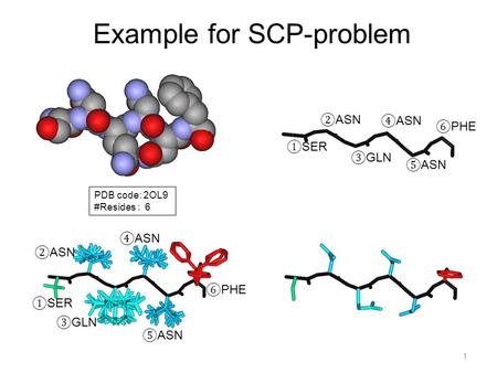 Example for SCP-problem PDB code: 2OL9 #Resides : 6 ① SER ② ASN ④ ASN ⑤ ASN ⑥ PHE ③ GLN 1 ① SER ② ASN ④ ASN ⑤ ASN ⑥ PHE ③ GLN.