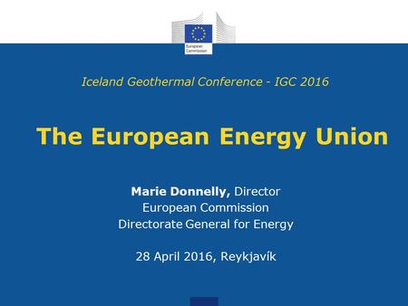 The European Energy Union
