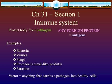 Ch 31 – Section 1 Immune system Protect body from pathogens ANY FOREIGN PROTEIN = antigens Examples  Bacteria  Viruses  Fungi  Protozoa (animal-like.