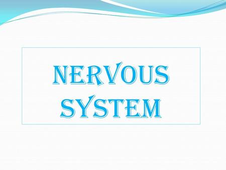Nervous System. Classification Based on General Functions Nervous System Somatic Nervous System Autonomic Nervous System SympatheticParasympathetic.