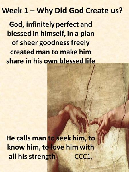 God, infinitely perfect and blessed in himself, in a plan of sheer goodness freely created man to make him share in his own blessed life He calls man to.