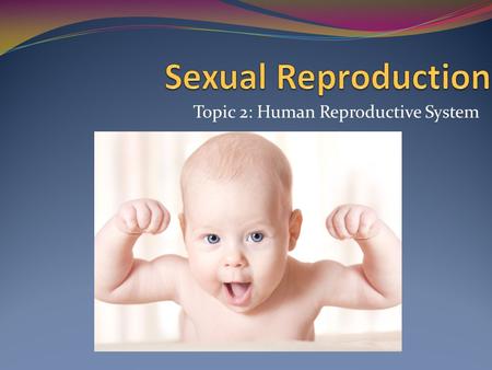 Topic 2: Human Reproductive System. Objectives… Students will be able to: Identify and explain the structure and function of the male and female reproductive.